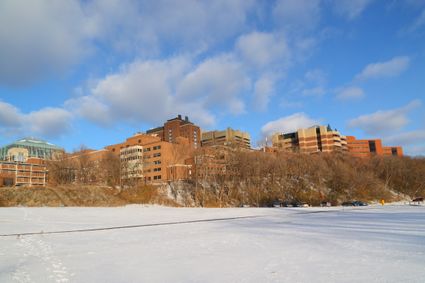 University of Minnesota-Twin Cities